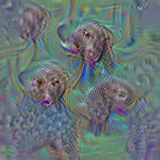 n02099267